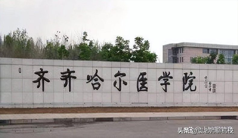 黑龙江省医药类院校哪些比较强（附：黑龙江本科院校排名榜）-1