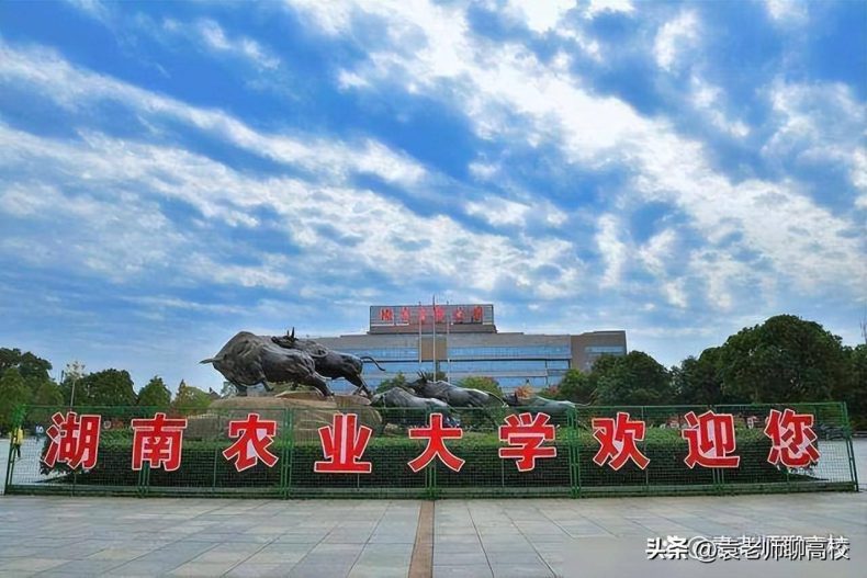 开设烟草类专业高校有哪些（附：学校简介）-1