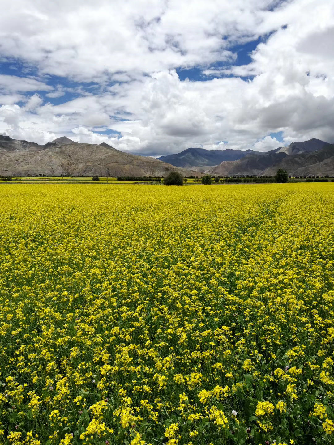 什么是自费大学？国内有没有自费大学？自费大学有关情况介绍-广东技校排名网