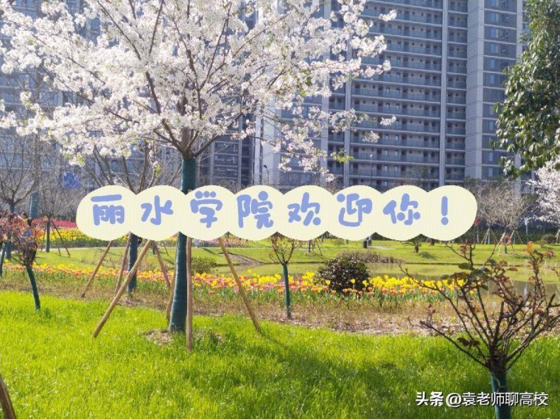 浙江省哪些二本学校分数不高(附:浙江二本大学名单)-1 浙江省哪些二本学校分数不高(附:浙江二本大学名单)-广东技校排名网