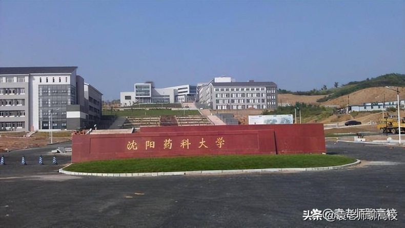 辽宁省哪些医药类院校综合实力比较强(附:辽宁本科大学排名榜)-1 辽宁省哪些医药类院校综合实力比较强(附:辽宁本科大学排名榜)-广东技校排名网