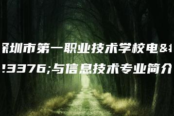 深圳市第一职业技术学校电子与信息技术专业简介-广东技校排名网