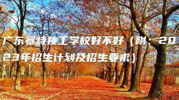 广东赛特技工学校好不好（附：2023年招生计划及招生要求）-广东技校排名网