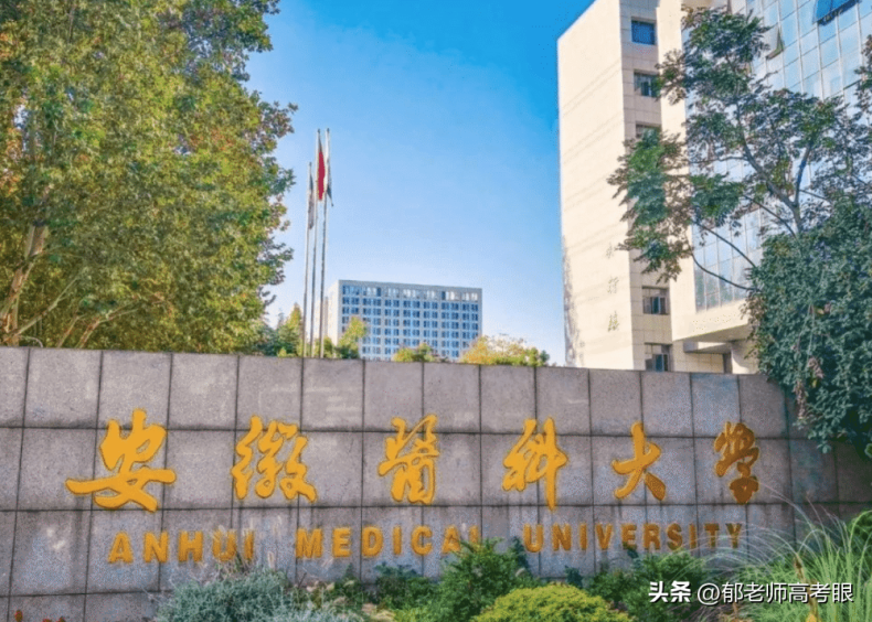 安徽医科大学2022年录取分数线（附：专业分及省排名）-1