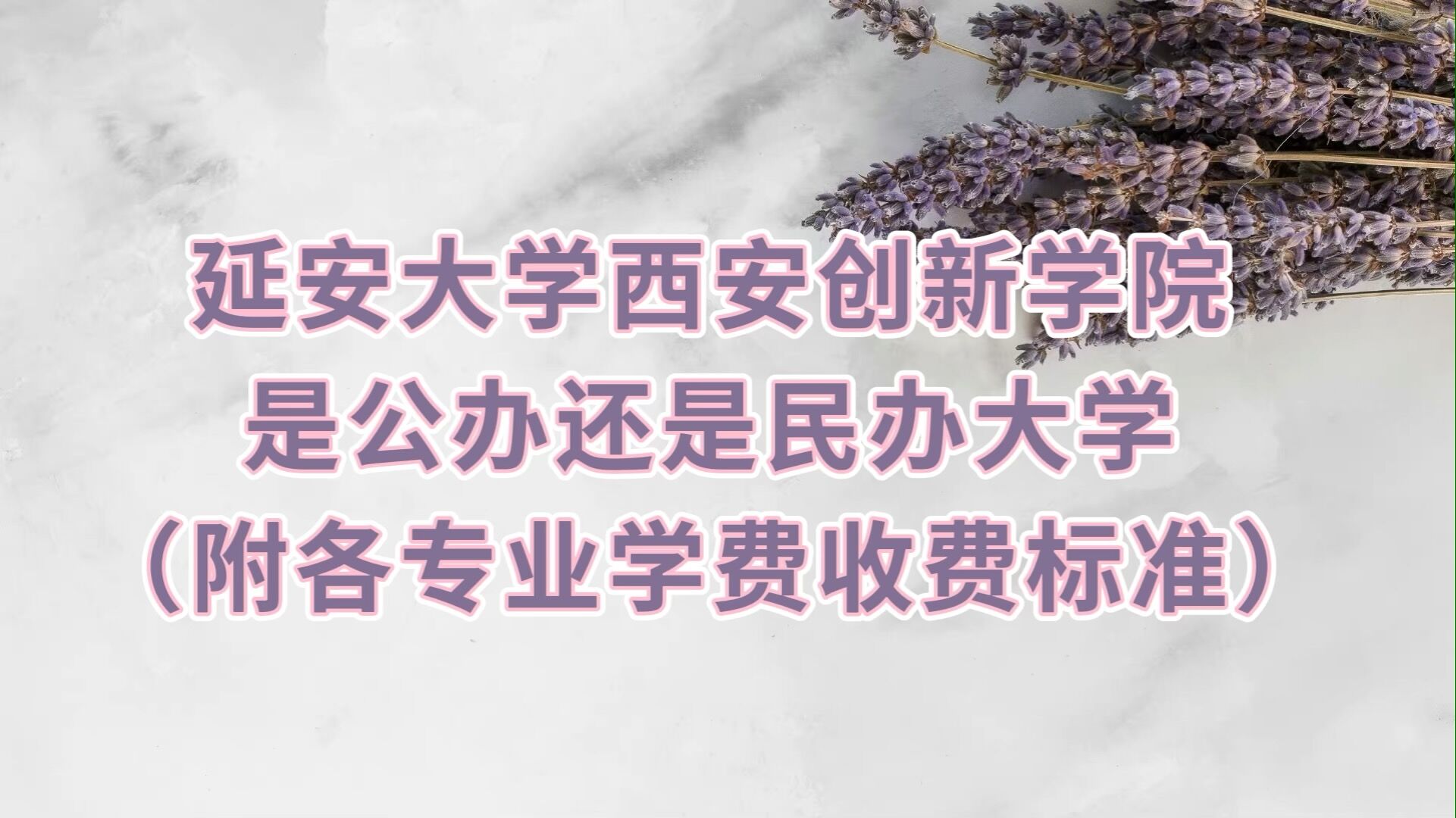 延安大学西安创新学院是公办还是民办大学：附各专业学费收费标准-广东技校排名网