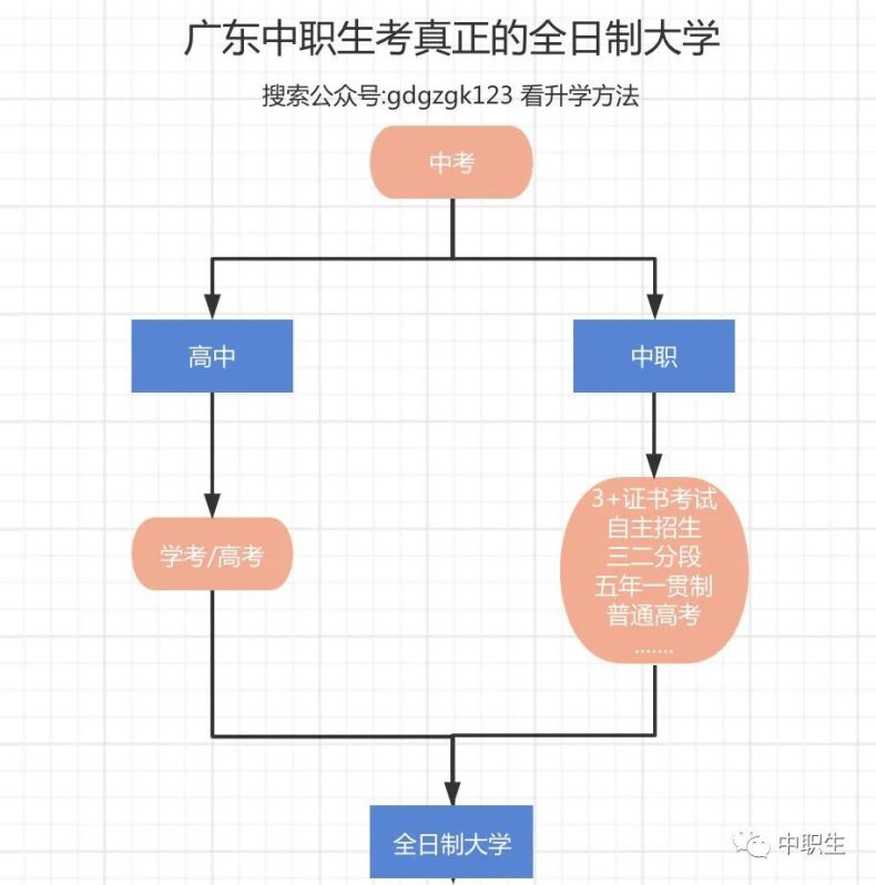 3+证书与普通高考有哪些不同？中职生都能报吗？-1