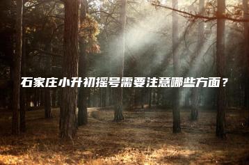 石家庄小升初摇号需要注意哪些方面？-广东技校排名网