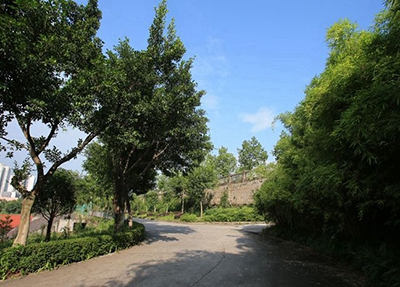 化州技工学校2023年宿舍条件-广东技校排名网