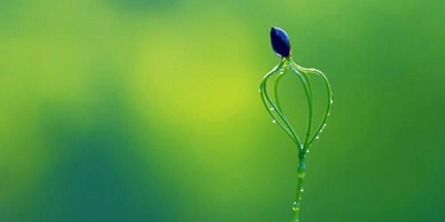 广东湛江卫生学校2023年报名需要满足哪些条件-广东技校排名网