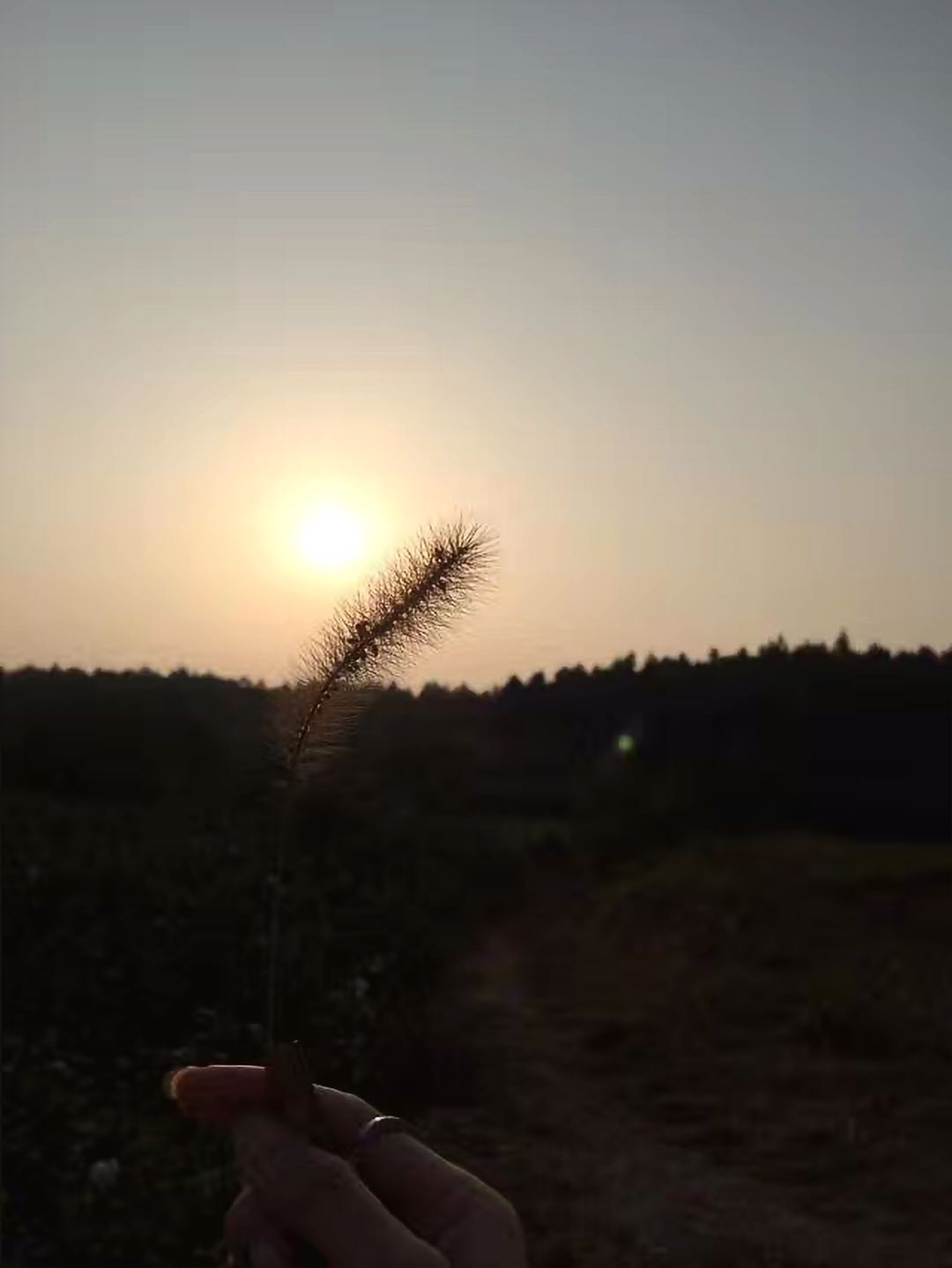 中央党校可以考吗？需要具备什么条件？中央党校毕业是什么级别？-广东技校排名网