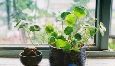 广东环保技工学校2023年地址在哪里-广东技校排名网