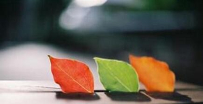 汕头高级技工学校2023年地址在哪里-广东技校排名网