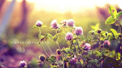 信宜市丁堡职业高级中学2023年招生条件是什么-广东技校排名网