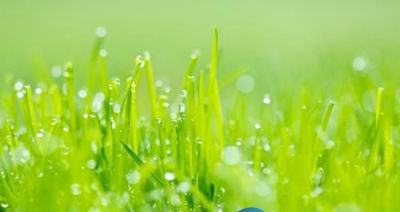 广州荔湾区外语职业高级中学2023年录取分数线-广东技校排名网