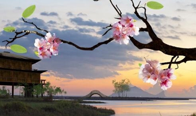 广州荔湾区外语职业高级中学2023年地址在哪里-广东技校排名网