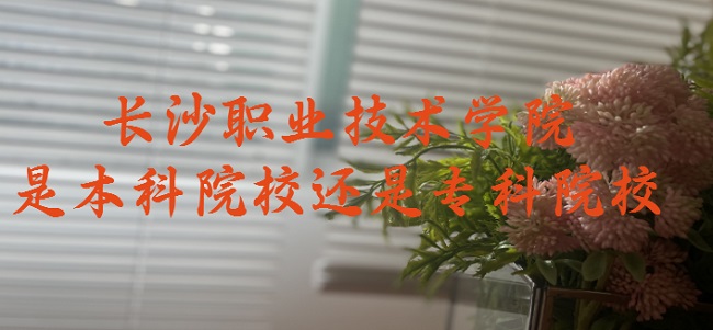 长沙职业技术学院是本科院校还是专科院校?-广东技校排名网