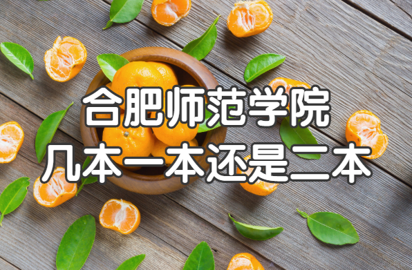 合肥师范学院几本?一本还是二本?(附安徽省本科院校一览表)-广东技校排名网