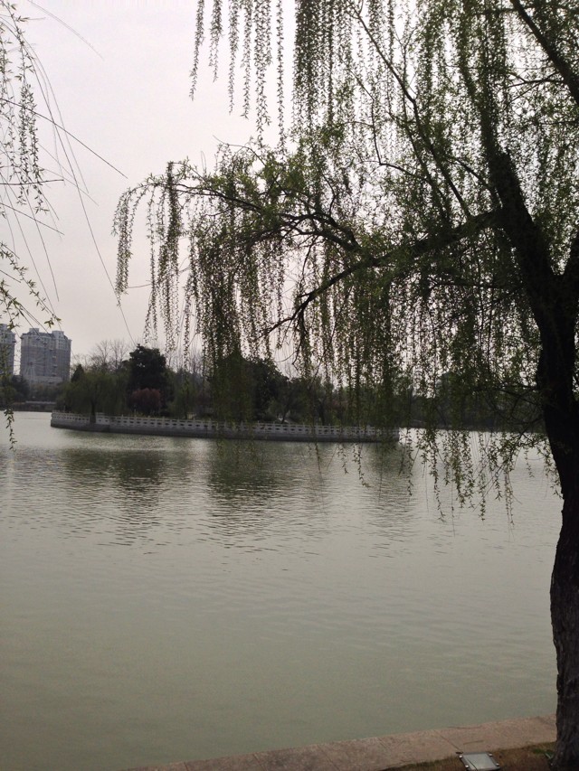 石家庄中专学校有哪些排名揭秘？盘点石家庄口碑最好的三所中专？-广东技校排名网