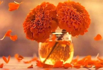 广州市技师学院2023年录取分数线-广东技校排名网