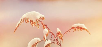 化州技工学校2023年招生计划-广东技校排名网