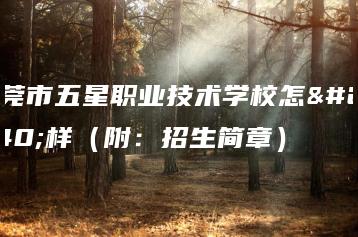 东莞市五星职业技术学校怎么样(附:招生简章)-广东技校排名网