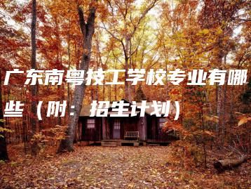 广东南粤技工学校专业有哪些（附：招生计划）-广东技校排名网