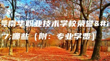 东莞南华职业技术学校荣誉有哪些（附：专业学费）-广东技校排名网