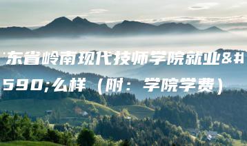 广东省岭南现代技师学院就业怎么样(附:学院学费)-广东技校排名网