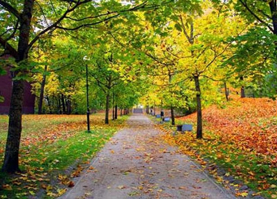 广东省机械技师学院2023年招生分数线-广东技校排名网