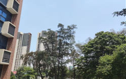 大专可以考公务员吗-考公务员需要什么条件-广东技校排名网