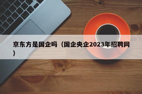 京东方是国企吗(国企央企2023年招聘网)-广东技校排名网