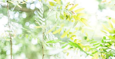 梅州技师学院2023年招生计划-广东技校排名网