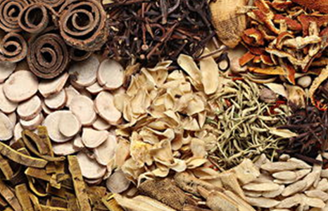 广东有哪些中药专业的技校比较好-推荐哪些学校-广东技校排名网