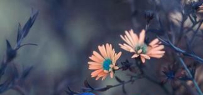 广州市天河职业高级中学2023年地址在哪里-广东技校排名网