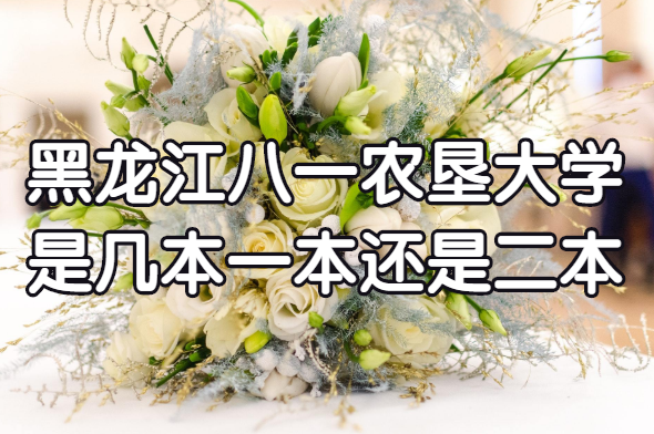 黑龙江八一农垦大学几本？一本还是二本？（附黑龙江本科院校一览-广东技校排名网