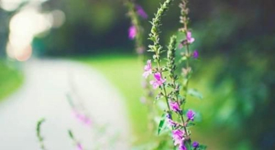 深圳携创高级技工学校2023年宿舍条件-广东技校排名网