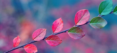 梅州技师学院2023年怎么样、好不好-广东技校排名网