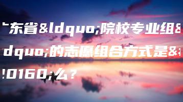 广东省“院校专业组”的志愿组合方式是什么？-广东技校排名网