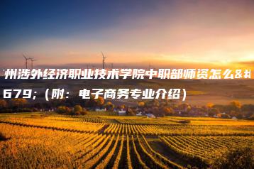 广州涉外经济职业技术学院中职部师资怎么样（附：电子商务专业介绍）-广东技校排名网