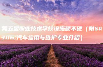 东莞五星职业技术学校设施硬不硬(附:汽车运用与维护专业介绍)-广东技校排名网