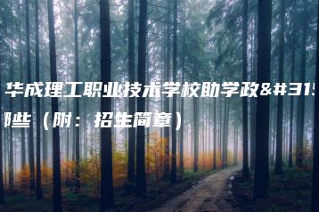 广州华成理工职业技术学校助学政策有哪些（附：招生简章）-广东技校排名网