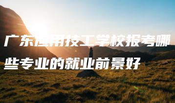 广东应用技工学校报考哪些专业的就业前景好-广东技校排名网