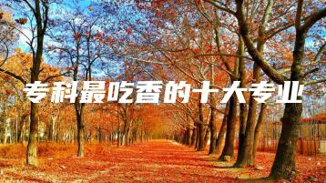 专科最吃香的十大专业-广东技校排名网