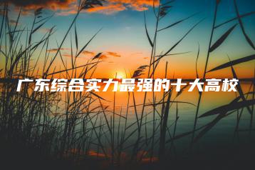 广东综合实力最强的十大高校-广东技校排名网