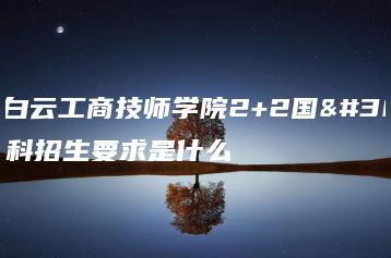 广州白云工商技师学院2+2国际本科招生要求是什么-广东技校排名网