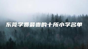 东莞学费最贵的十所小学名单-广东技校排名网