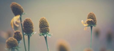 广东省城市建设技师学院2023年招生计划-广东技校排名网