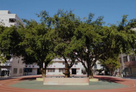 惠州有哪些艺术类的职业学校推荐-广东技校排名网