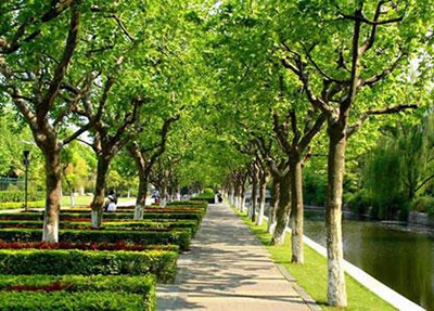 揭阳技师学院2023年学费多少-广东技校排名网