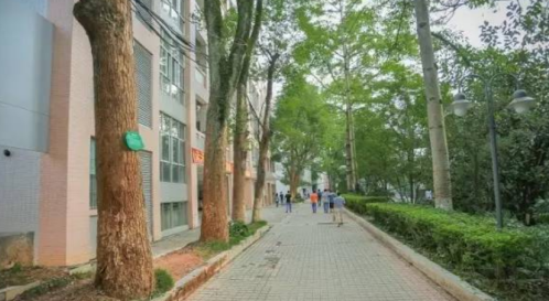 梅州市梅县区第一职业学校2023年报名条件-招生要求-招生对象-广东技校排名网